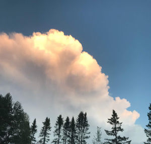 Meet your Posher, Eve